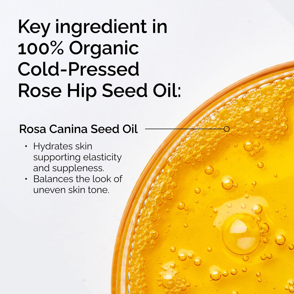 100-organic-cold-pressed-rose-hip-seed-oil-k5 FY25-D41247-ORD-Web-PDP-100-Rose-Hip-Oil-1x1-EN-2.jpg