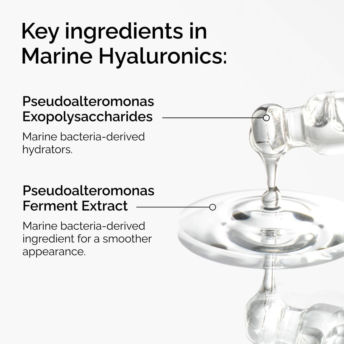 marine-hyaluronics-r5 FY25-D41247-ORD-Web-PDP-Marine-Hya-1x1-EN-2a.jpg
