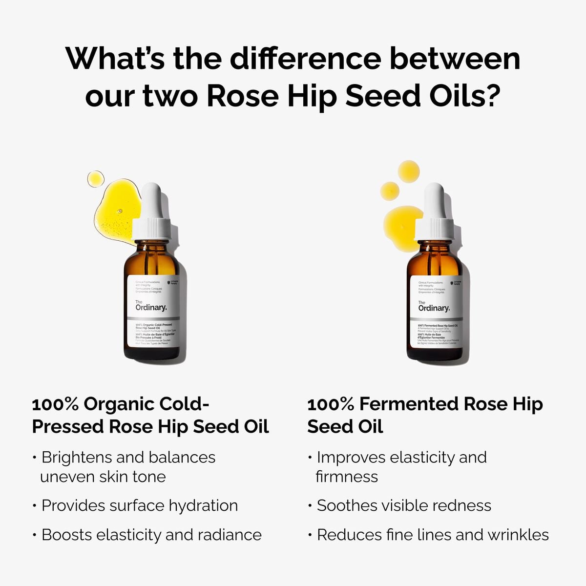 100-fermented-rose-hip-seed-oil-y7 fermented-rose-hip-vs-organic-rose-hip-graphic.jpg
