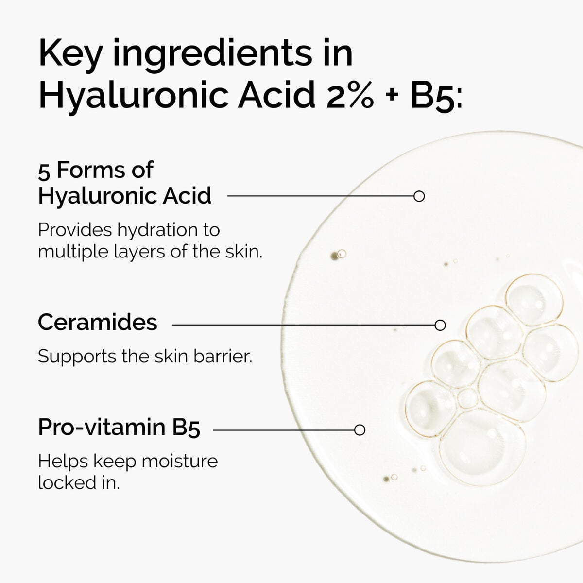 hyaluronic-acid-2-b5-with-ceramides-l6 ord-hyaluronic-acid-2pct-b5-hydrating-serum-ingredients-graphic.jpg