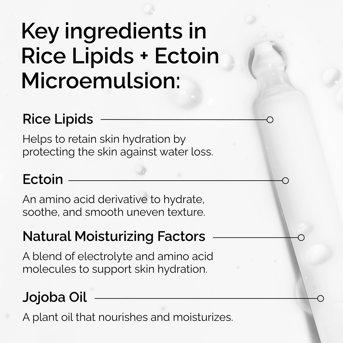 rice-lipids-ectoin-microemulsion-a5 ord-rice-lipids-ectoin-microemulsion-key-ingredients.png