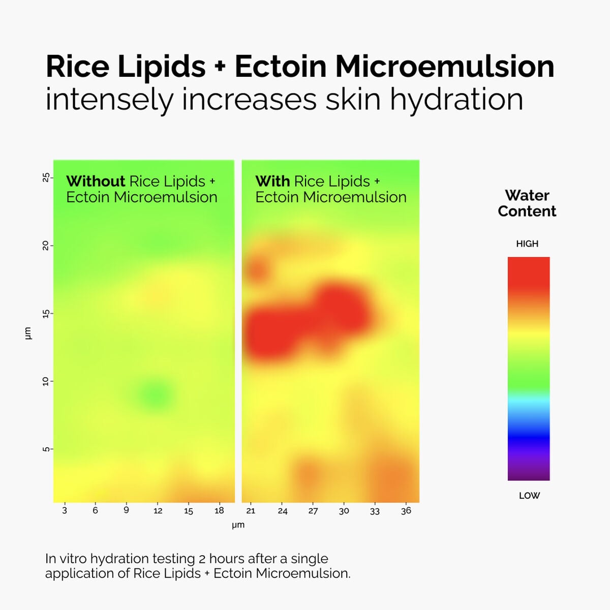 rice-lipids-ectoin-microemulsion-a5 ord-rice-lipids-ectoin-microemulsion-thermal-before-after.jpg